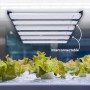Câble de raccordement pour les lampes horticoles G400-250W