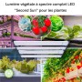 Câble de raccordement pour les lampes horticoles G400-250W