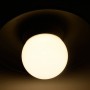 Ampoule LED E27 20W Globe G120