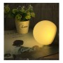 Ampoule LED E27 20W Globe G120