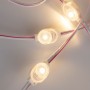 Module LED monochrome pour signalisation - 0,5W - 12V DC - IP66 - 170º