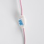 Module LED monochrome pour signalisation - 0,5W - 12V DC - IP66 - 170º