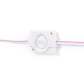 Modules LED monochromes pour signalisation - 1,5W - 12V - IP65 - 160º