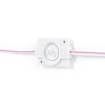 Modules LED monochromes pour signalisation - 1,5W - 12V - IP65 - 160º