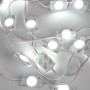 Modules LED monochromes pour signalisation - 1,5W - 12V - IP65 - 160º