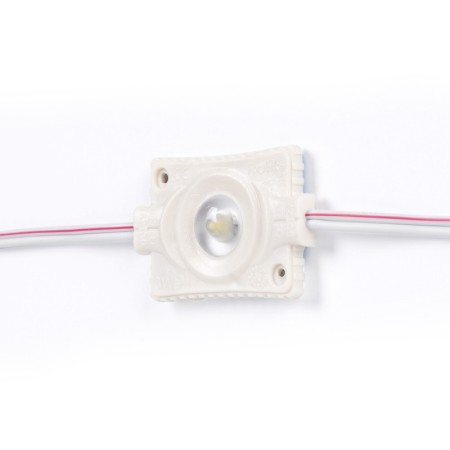 Modules LED monochromes pour signalisation - 3W - 12V - IP65 - 160º