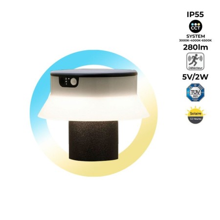 Potelet LED solaire 18cm avec capteur PIR - 3 modes de fonctionnement - CCT réglable sur 3 températures de 3000-6500ºK