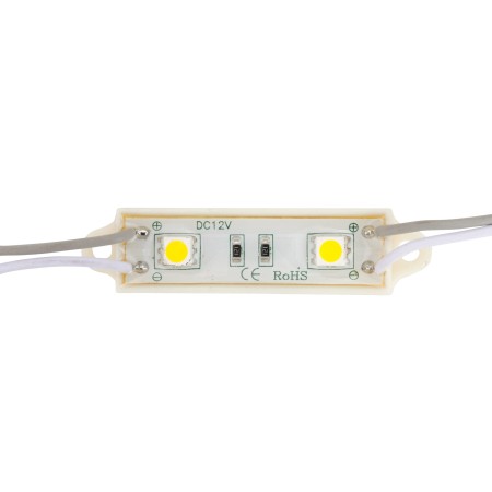 Module 0,48W 45Lm 2 LED SMD5050 40 000H