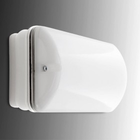 Éclairage de Secours LED 60Lm 1 Heure IP65 2,4V 0,8Ah