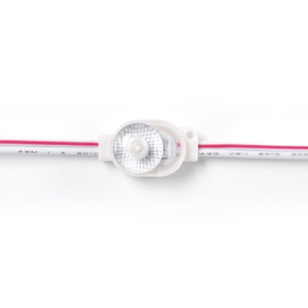 Module LED monochrome pour signalisation - 0,5W - 12V DC - IP66 - 170º
