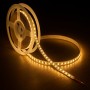 Bande LED SMD2835 13 W/M 200 lm/W IRC95 24 V CC IP20 5 m