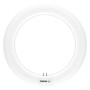 Tube LED T9 Ledvance/Osram G10q 12W 1320Lm 4000K 120º IP20