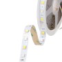 Bande LED SMD5050 14,4 W/M 140 lm/W 24 V CC IP20 RGB/CCT Rouleau 5 m