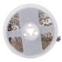 Bande LED SMD5050 14,4 W/M 140 lm/W 24 V CC IP20 RGB/CCT Rouleau 5 m