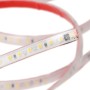 Ruban de 60 LED/m 1500 lm/m 12W SMD2835 - diffuseur microprismatique auto-redressé - 220 V CA IP65 50m 40 000 h