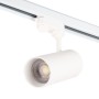 Spot sur rail triphasé 30 W COB à Tonalité variable, sans scintillement, blanc CCT (Tonalité lumineuse variable) 3 000-6 000 °K
