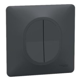 SCHNEIDER Ovalis Interrupteur va et vient + poussoir anthracite complet