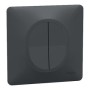 SCHNEIDER Ovalis Interrupteur va et vient + poussoir anthracite complet