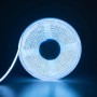 Ruban LED COB Dual white CCT réglable 3000K ou 6000K - 24V DC - 14W/m - 8mm - 600 LED/m - IP20 - 5 mètres