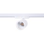 Spot LED sur rail triphasé - 40W - Bijouteries - Driver Philips Xitanium