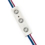 Modules LED RGB IC pour la signalisation - 0,72W - 12V - IP65 - 120º