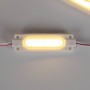 Module LED monochrome pour signalisation - 1,5W - 12V DC - IP65 - 120º