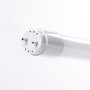 Tube LED T8 9W 1440 lm Verre 60 cm Connexion 1 extrémité 40 000 h