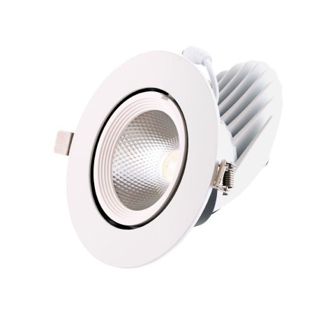 Spot LED Downlight 24W 3600Lm Circulaire Orientable 40 000H