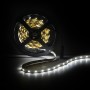 Bande de 300 LEDs 24W 1.200Lm SMD3528 12VDC x5M 40.000H [PL219001]-