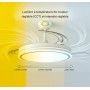 Ventilateur plafond LED 48W CCT réglable | Télécommande Martina