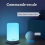 Lampe de Chevet WiFi RGBW 2A